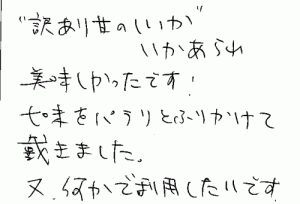 訳あり甘のしいかいかあられの切れっ端のご感想