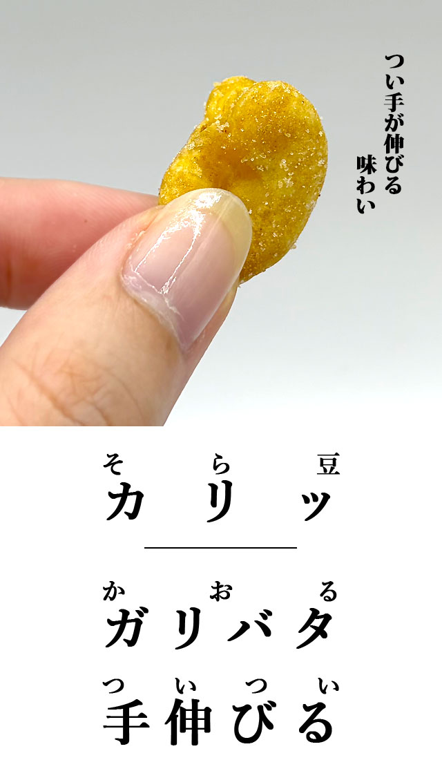 ガリバタふらいびぃんず