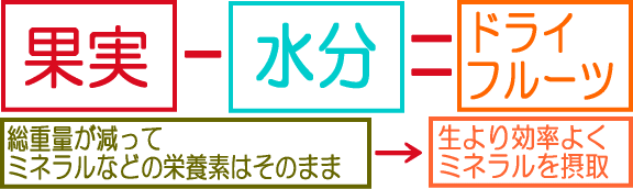 ドライフルーツの説明図