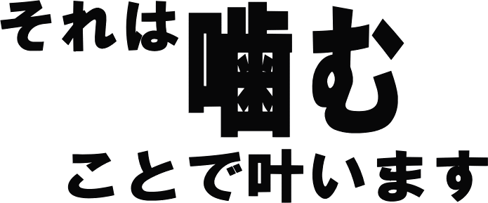 合格するめセット