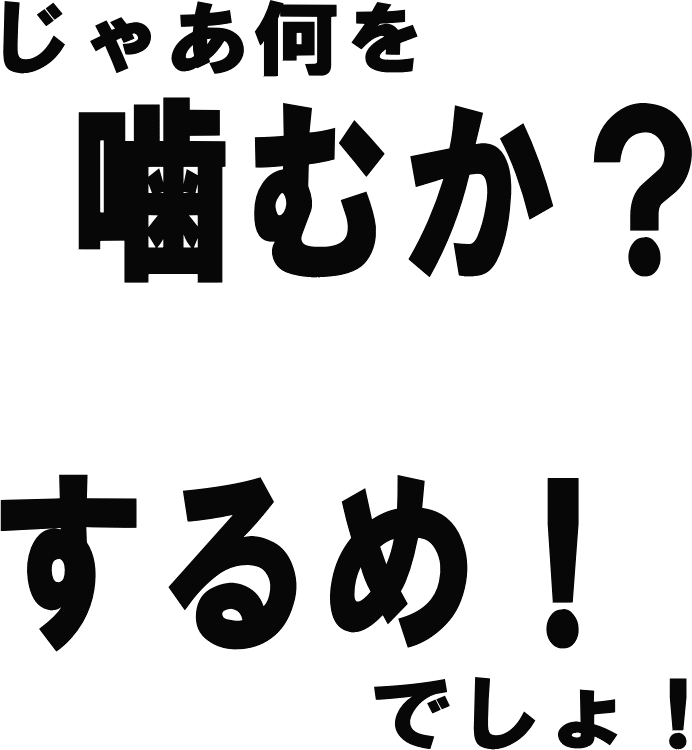 合格するめセット