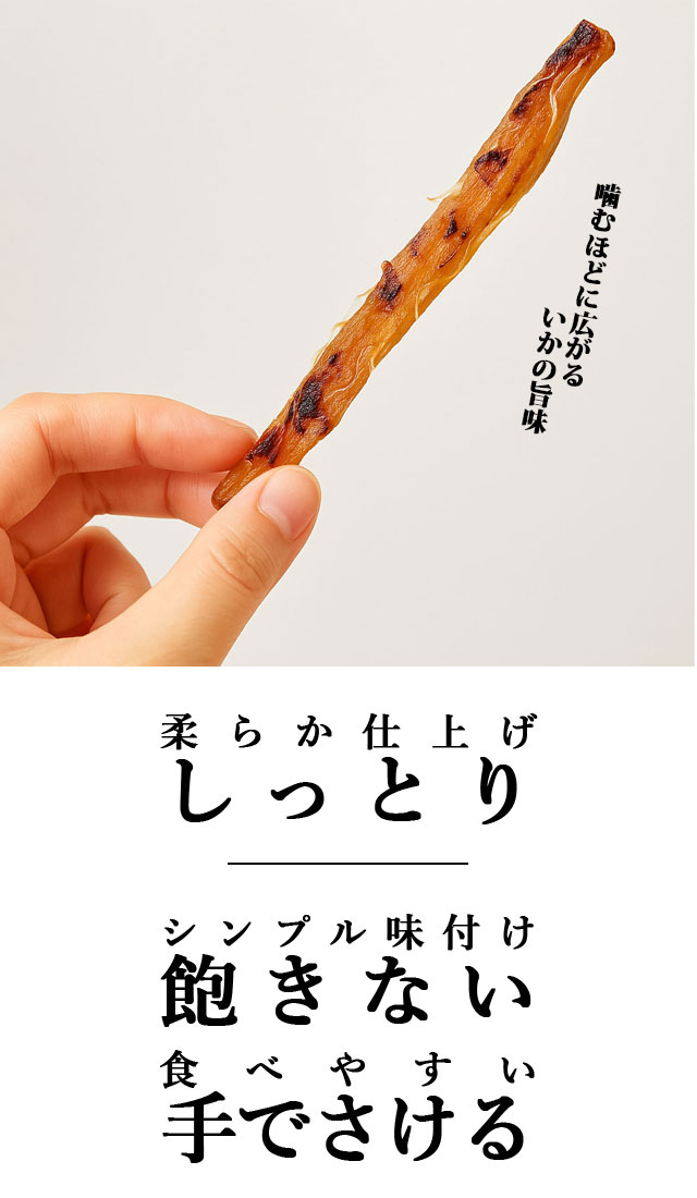一夜干し風焼いか
