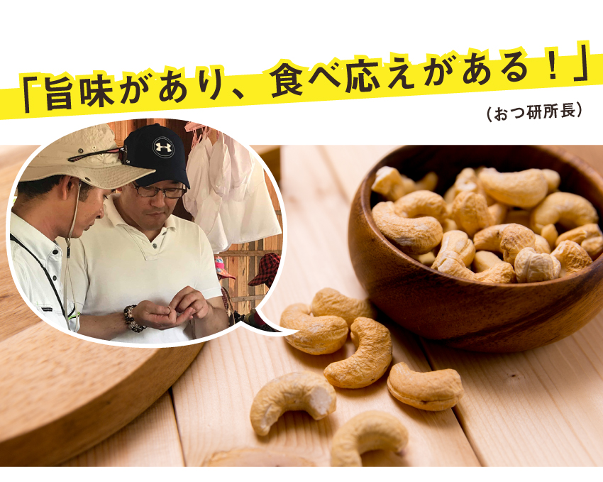ジャンボカシューナッツは旨味があり、食べごたえがある