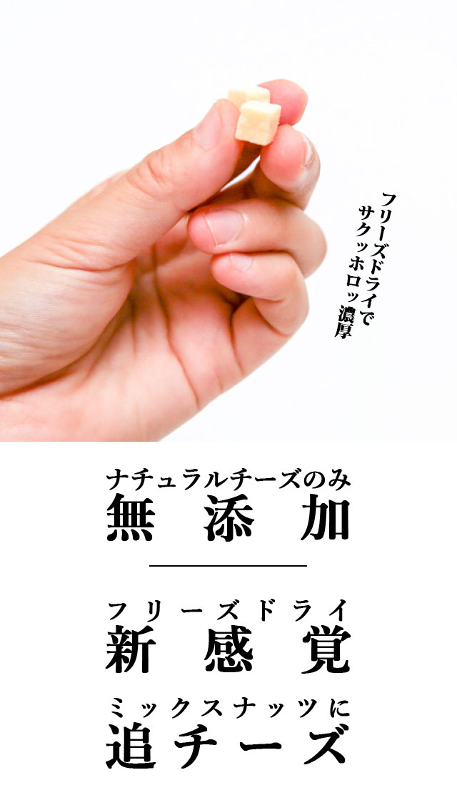 追いチーズ