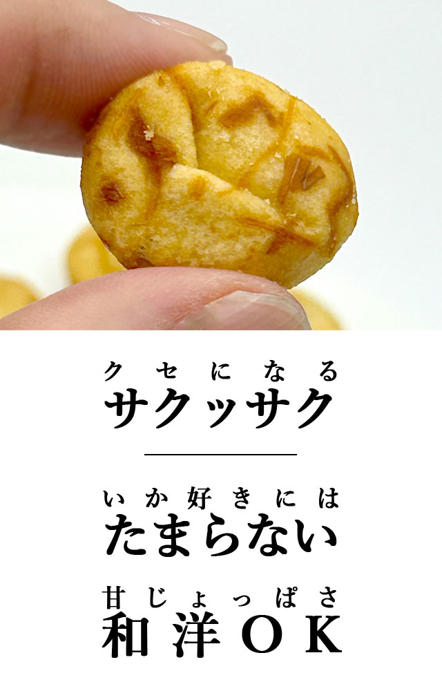 サクサク絶品イカッピー