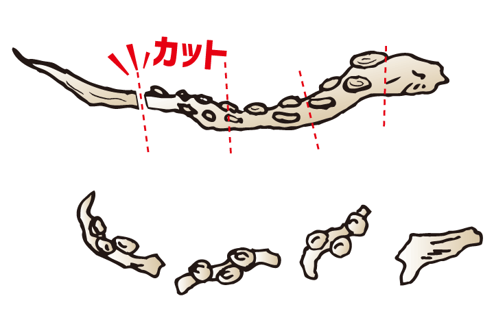 スマートするめ足