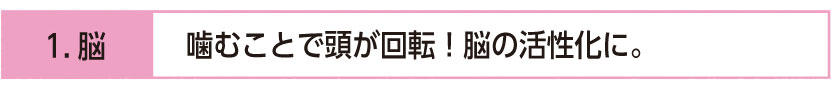 噛むことで頭が回転！脳の活性化に