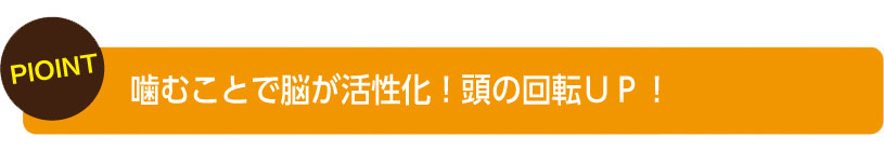 噛むことで脳が活性化！頭の回転アップ！