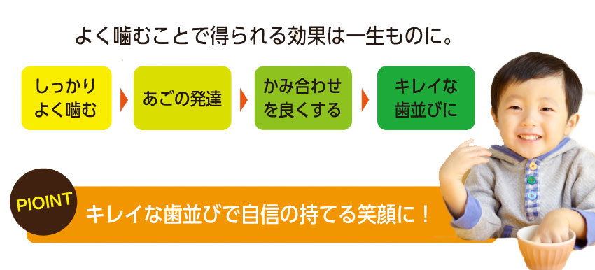 キレイな歯並びで自信の持てる笑顔に！