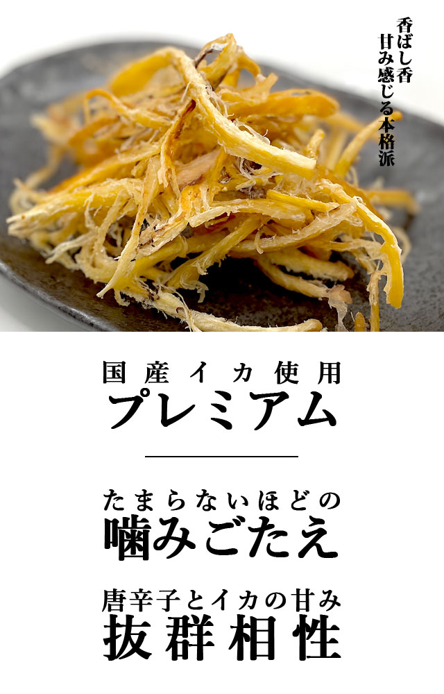 殿様献上するめ